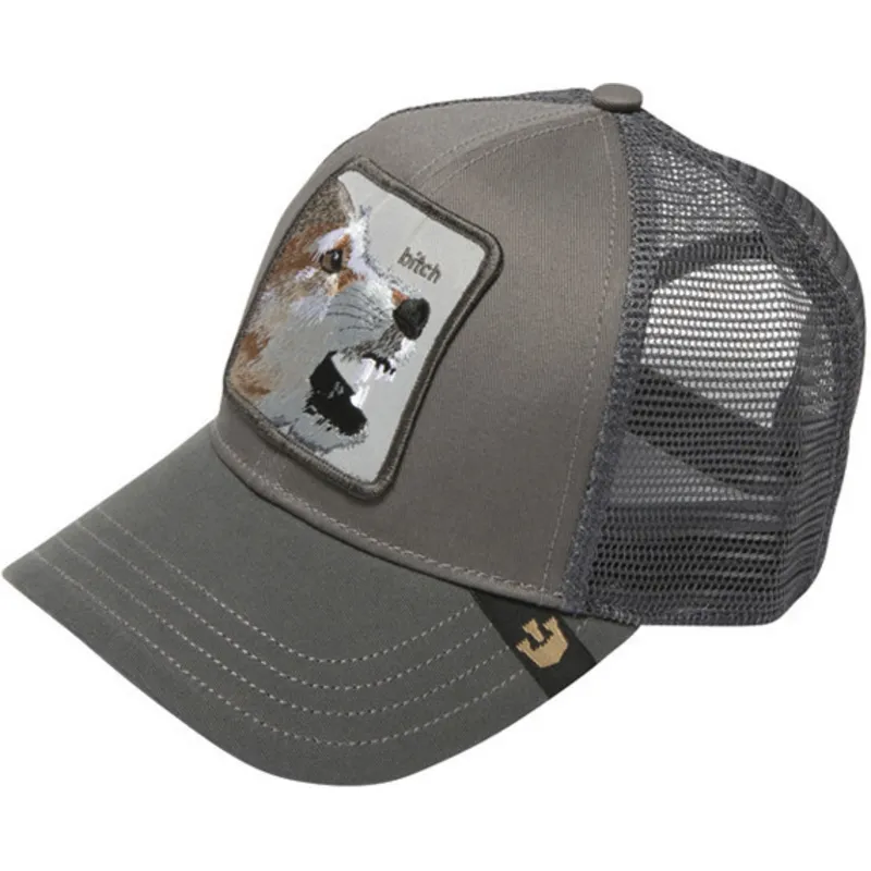 lippikset-kaareva-rekka-harmaa-snapback-lassy-the-farm-goorin-bros