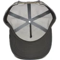lippikset-kaareva-rekka-harmaa-snapback-king-of-the-jungle-the-farm-goorin-bros