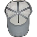 lippikset-kaareva-rekka-harmaa-snapback-eye-of-the-tiger-the-farm-goorin-bros