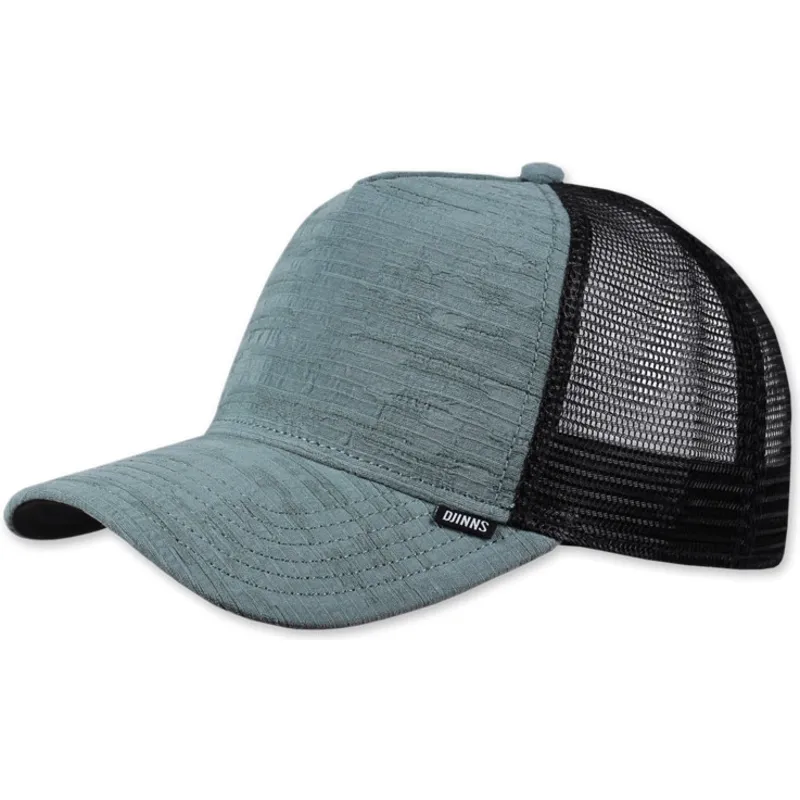 lippikset-kaareva-rekka-sininen-snapback-bigseer-djinns