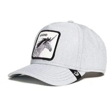 lippikset-kaareva-rekka-harmaa-snapback-purpurina-believer-the-farm-goorin-bros
