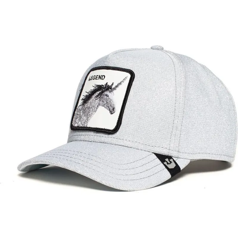 lippikset-kaareva-rekka-harmaa-snapback-purpurina-believer-the-farm-goorin-bros