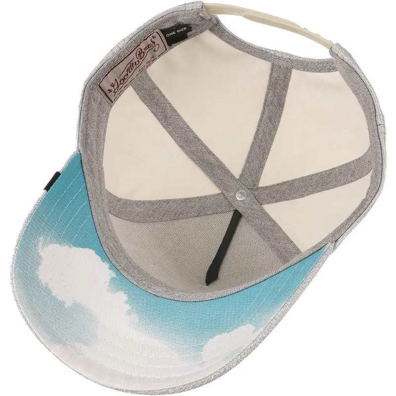 lippikset-kaareva-rekka-harmaa-snapback-purpurina-believer-the-farm-goorin-bros