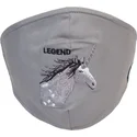 naamarit-ja-suojau-harmaa-mascarilla-reutilizable-living-legend-the-farm-goorin-bros
