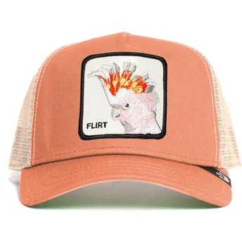 lippikset-kaareva-rekka-vaaleanpunainen-snapback-big-flirt-the-farm-goorin-bros