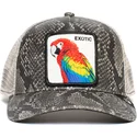 lippikset-kaareva-rekka-musta-snapback-exotic-margaritaville-the-farm-goorin-bros