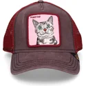 lippikset-kaareva-rekka-ruskea-snapback-whiskers-the-farm-goorin-bros