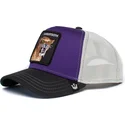 lippikset-kaareva-rekka-violetti-snapback-sable-sabertooth-the-farm-goorin-bros