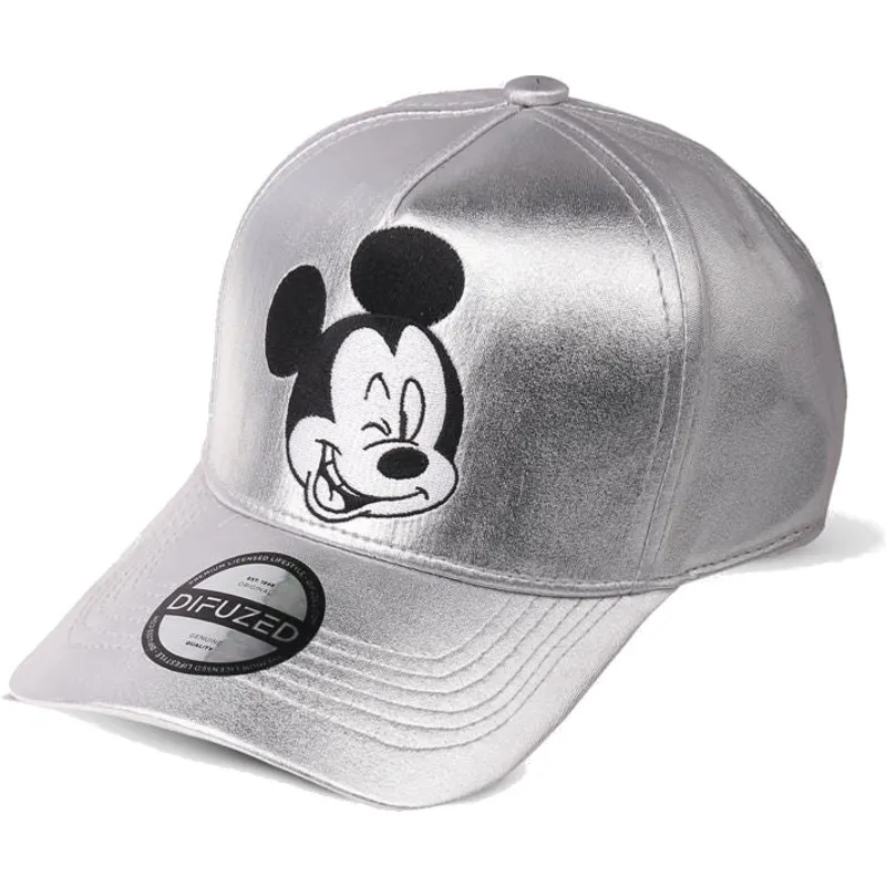 lippikset-kaareva-harmaa-snapback-plateada-difuzed