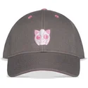 lippikset-kaareva-harmaa-snapback-rosa-difuzed