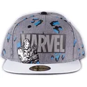 lippikset-littea-harmaa-snapback-true-power-difuzed