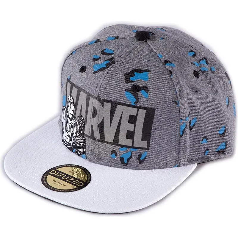 lippikset-littea-harmaa-snapback-true-power-difuzed