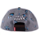 lippikset-littea-harmaa-snapback-true-power-difuzed