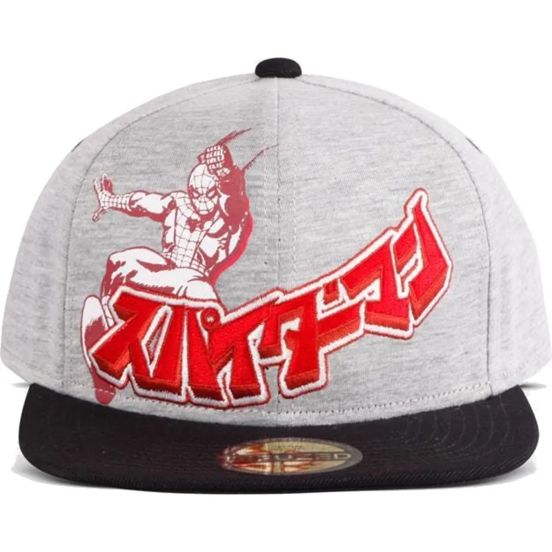 lippikset-littea-harmaa-snapback-japanese-difuzed
