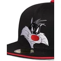 lippikset-littea-musta-snapback-space-jam-difuzed