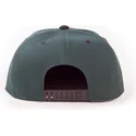cap-littea-green-snapback-difuzed