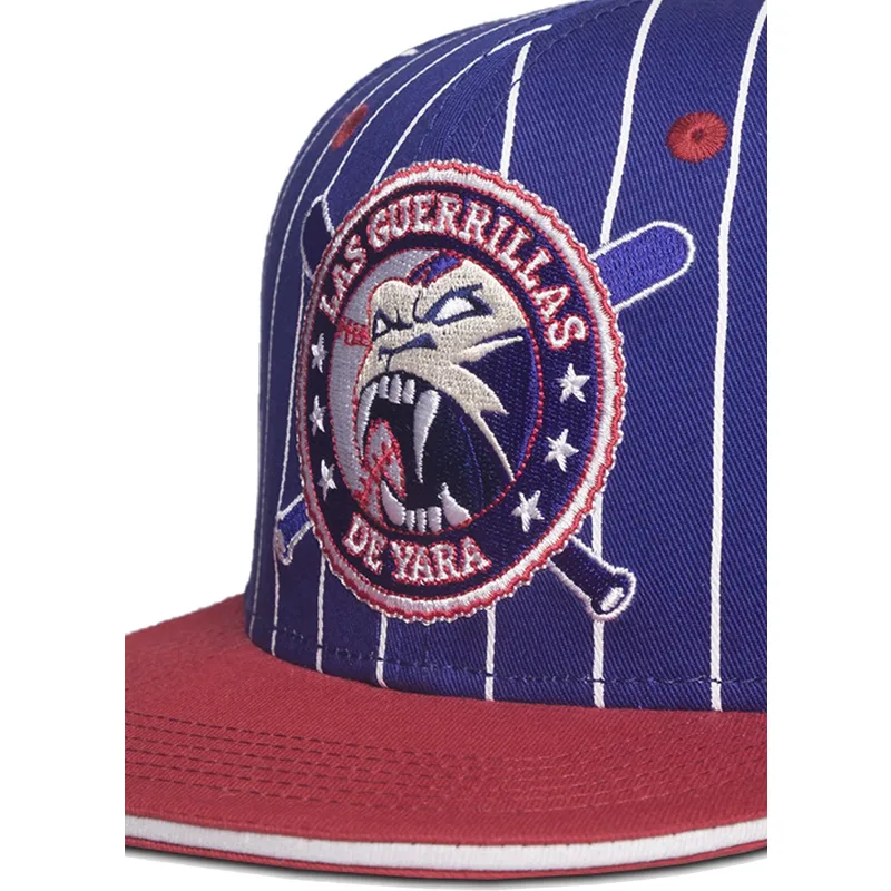 lippikset-littea-sininen-snapback-las-guerrillas-yara-far-cry-difuzed