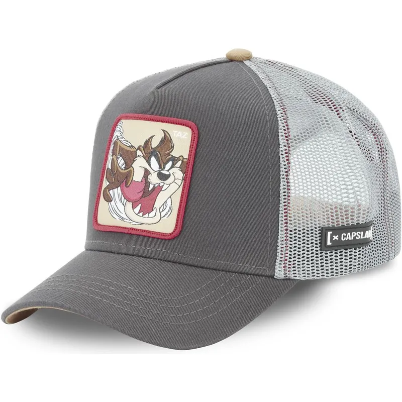 lippikset-kaareva-rekka-harmaa-snapback-tasmanian-piru-looney-tunes-capslab