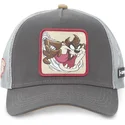 lippikset-kaareva-rekka-harmaa-snapback-tasmanian-piru-looney-tunes-capslab