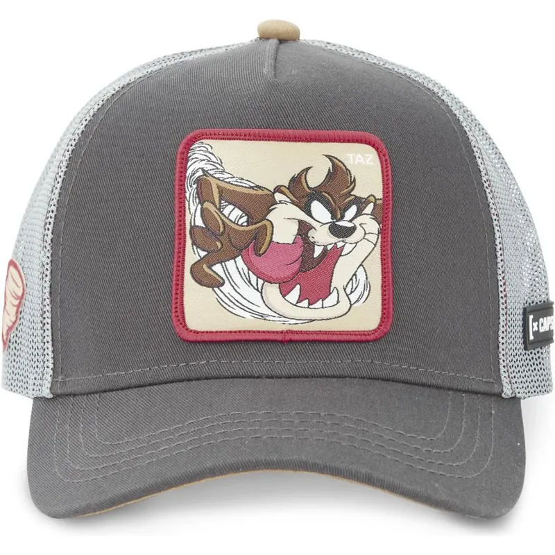 lippikset-kaareva-rekka-harmaa-snapback-tasmanian-piru-looney-tunes-capslab
