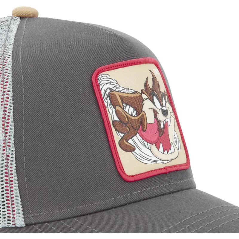 lippikset-kaareva-rekka-harmaa-snapback-tasmanian-piru-looney-tunes-capslab