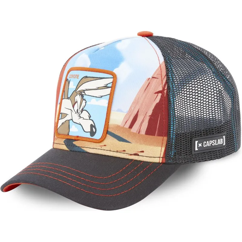 lippikset-kaareva-rekka-monivarinen-snapback-loo5-coy2-kojootti-looney-tunes-capslab