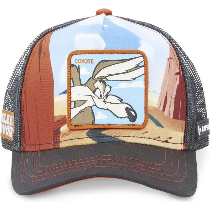 lippikset-kaareva-rekka-monivarinen-snapback-loo5-coy2-kojootti-looney-tunes-capslab