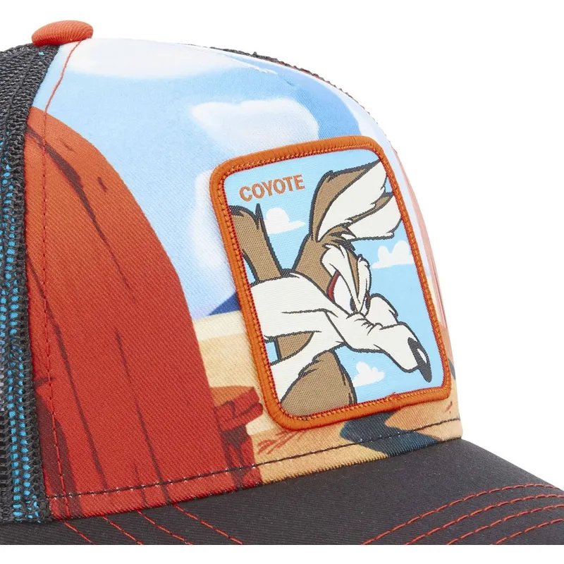 lippikset-kaareva-rekka-monivarinen-snapback-loo5-coy2-kojootti-looney-tunes-capslab