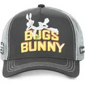 lippikset-kaareva-rekka-harmaa-snapback-loo5-bun1-vaiski-vull-looney-tunes-capslab