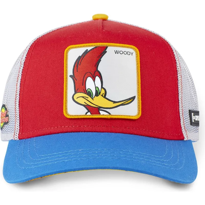 lippikset-kaareva-rekka-punainen-snapback-pec1-tikka-takka-capslab