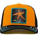 lippikset-kaareva-rekka-oranssi-snapback-mar-baby-i-m-a-star-the-farm-goorin-bros