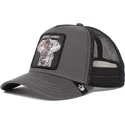 lippikset-kaareva-rekka-harmaa-snapback-extra-large-the-farm-goorin-bros