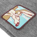 lakit-harmaa-bon-coy2-kojootti-looney-tunes-capslab