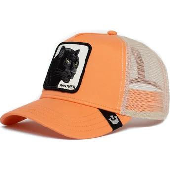 lippikset-kaareva-rekka-vaaleanpunainen-snapback-the-panther-the-farm-goorin-bros
