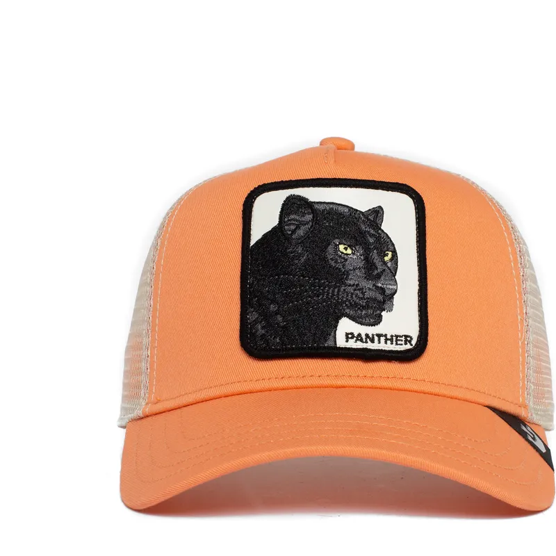 lippikset-kaareva-rekka-vaaleanpunainen-snapback-the-panther-the-farm-goorin-bros