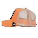 lippikset-kaareva-rekka-vaaleanpunainen-snapback-the-panther-the-farm-goorin-bros
