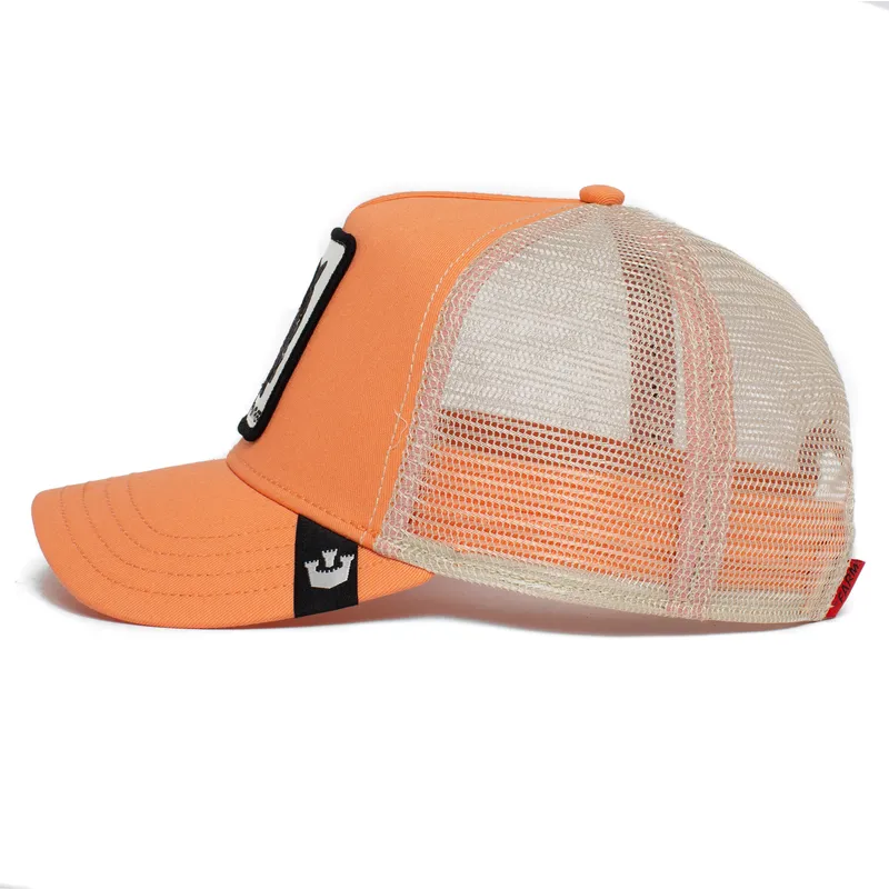 lippikset-kaareva-rekka-vaaleanpunainen-snapback-the-panther-the-farm-goorin-bros