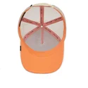 lippikset-kaareva-rekka-vaaleanpunainen-snapback-the-panther-the-farm-goorin-bros