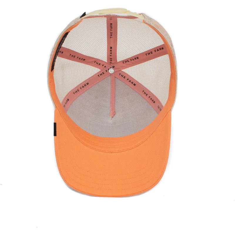 lippikset-kaareva-rekka-vaaleanpunainen-snapback-the-panther-the-farm-goorin-bros