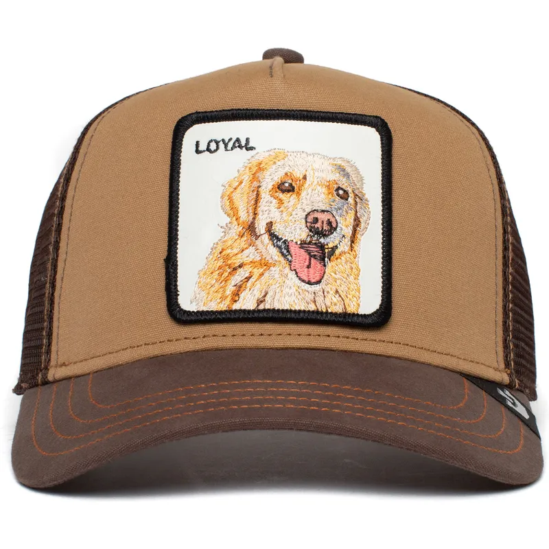 lippikset-kaareva-rekka-ruskea-snapback-the-loyal-dog-the-farm-goorin-bros