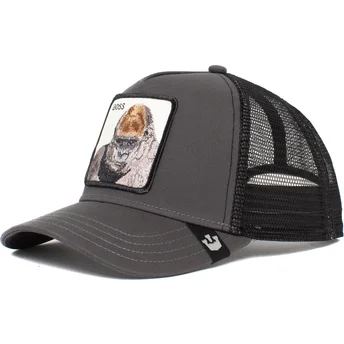 lippikset-kaareva-rekka-harmaa-snapback-primal-the-farm-goorin-bros
