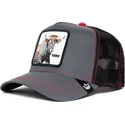 lippikset-kaareva-rekka-musta-snapback-reflective-the-farm-goorin-bros