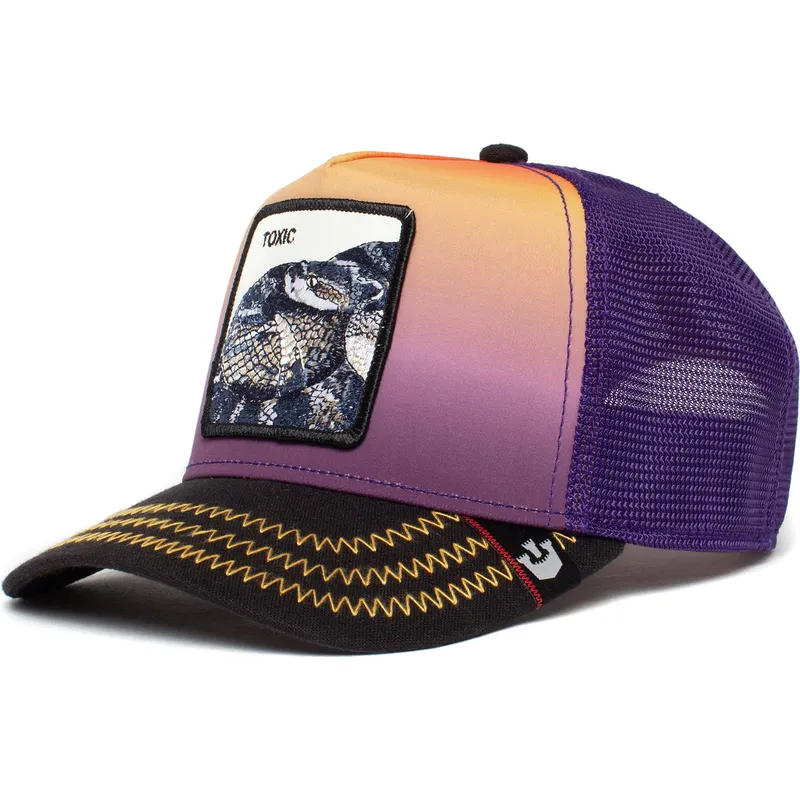 lippikset-kaareva-rekka-violetti-snapback-toxic-the-farm-goorin-bros