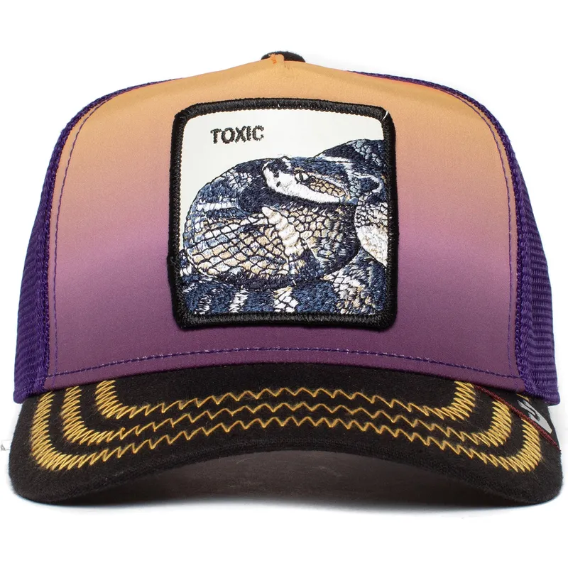lippikset-kaareva-rekka-violetti-snapback-toxic-the-farm-goorin-bros