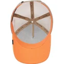 lippikset-kaareva-rekka-sininen-snapback-the-panther-the-farm-goorin-bros