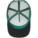 lippikset-kaareva-rekka-vihrea-snapback-the-panther-the-farm-goorin-bros