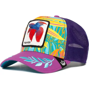 lippikset-kaareva-rekka-violetti-snapback-siam-fighter-even-betta-the-farm-goorin-bros