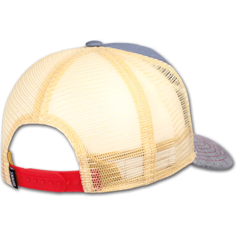 cap-kaareva-gray-snapback-djinns