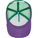 lippikset-kaareva-rekka-monivarinen-snapback-ass-donkey-trip-the-farm-goorin-bros