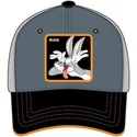 lippikset-kaareva-harmaa-saadettava-nauha-bu4-vaiski-vull-looney-tunes-capslab